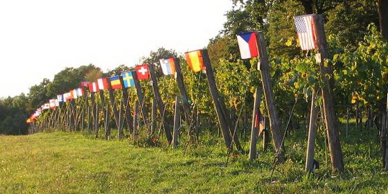 Wein Tulbing